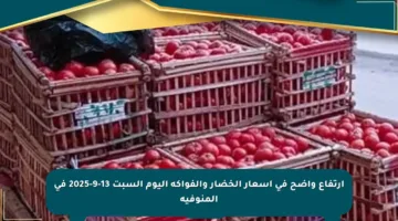 ارتفاع واضح في أسعار الخضار والفواكه اليوم السبت 13-9-2025 في المنوفية